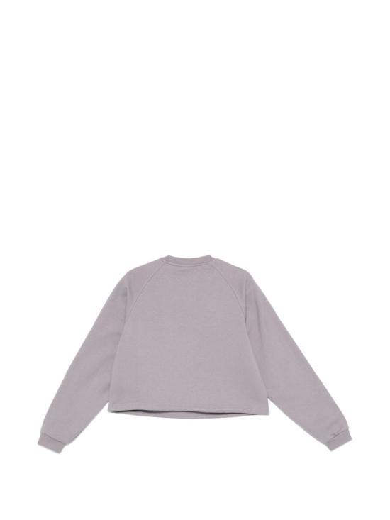 26SS 노스페이스 스웨터 NF0A8EFYG7O1 GREY Grey - NORTH FACE