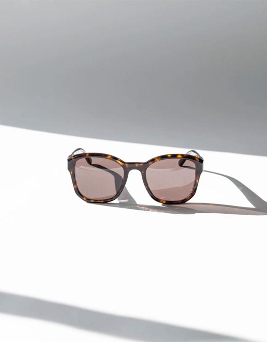  Eva Masaki 안경 에바 마사키 Bqe 골드핀치 선글라스 브라운