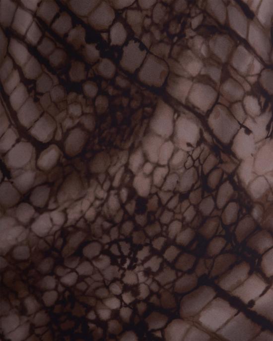 26SS 엘리자베타프랜치 롱 원피스 8861608 Brown - ELISABETTA FRANCHI