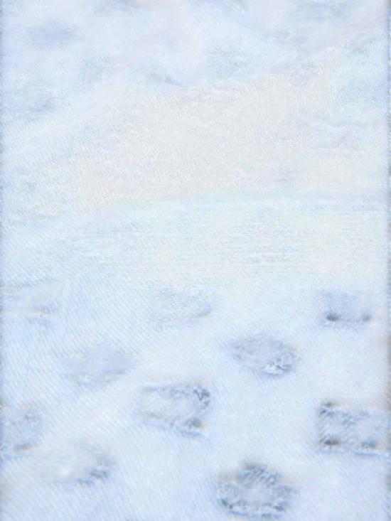 27SS 디스퀘어드2 머플러/스카프 FUM001708C087643098 Light Wash - DSQUARED2