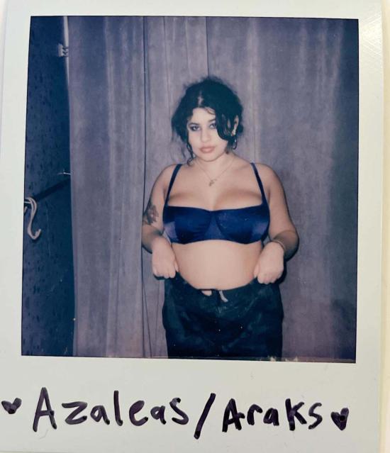  Araks 브라 아락스 기타 실크 언더와이어  아스터 - OTHER BRANDS