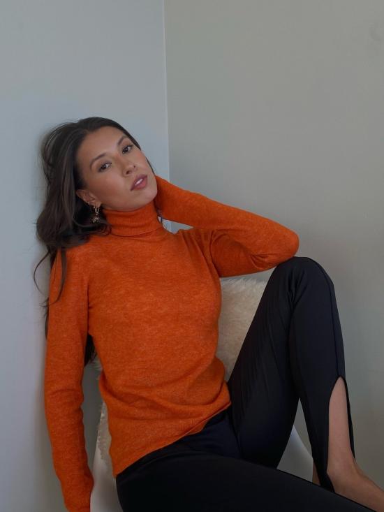  안티도트 터틀넥 해독제  카바용