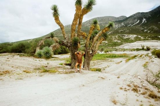  Nia Thomas 셔츠 니아 토마스 세사 셔츠 토니 브라운 - NIA THOMAS