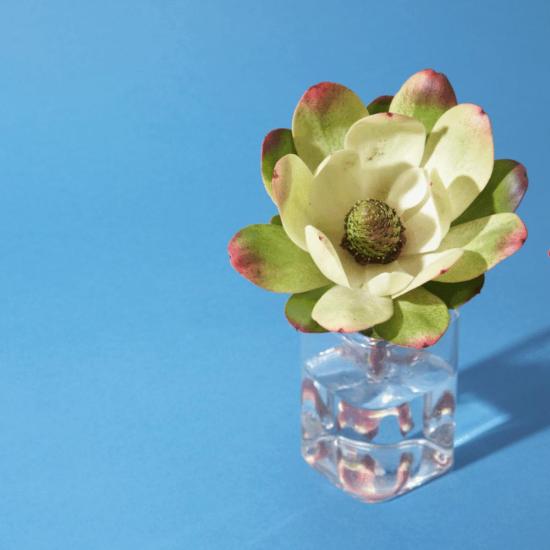  Metalepsis Projects 반지 메탈렙시스 프로젝트 모비우스 링 브라스 - OTHER BRANDS