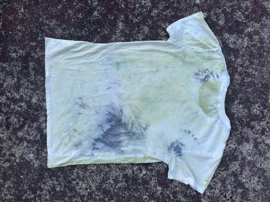  오드리 루이즈 레이놀즈 블라우스 오드리 루이스 레이놀즈 피티드 이집트산 면 셔츠 그린 - AUDREY LOUISE REYNOLDS