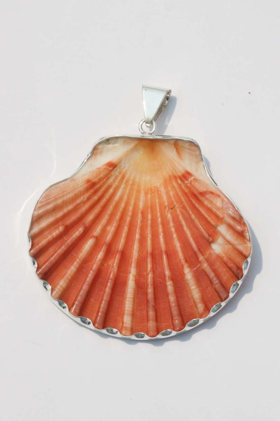  오디세이아 목걸이/팬던트 오디세아 NY XL 쉘 펜던트 - ODISSEA