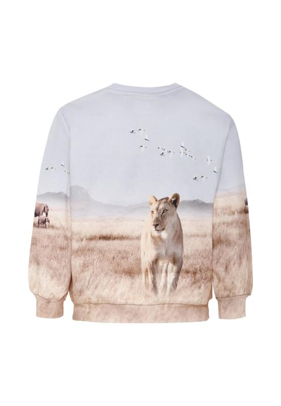  [키즈] 몰로 풀오버 라이온 키즈 스웨트셔츠 베이지 - MOLO