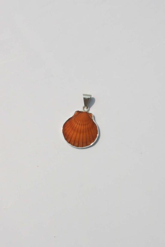  오디세이아 목걸이/팬던트 Odissea Ny Xs 스몰 쉘 펜던트 - ODISSEA