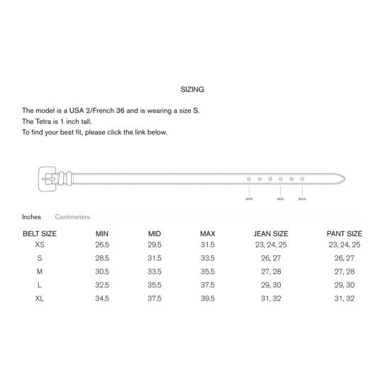  Déhanche 레귤러 벨트 데앙슈 테트라  블랙 앤 골드 - DEHANCHE