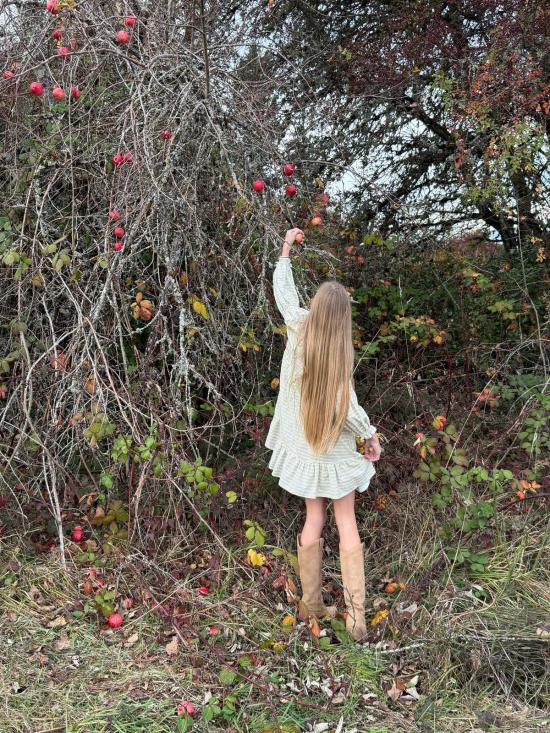  [키즈] Piper&Cloth 원피스 파이퍼앤클로스 피오나 드레스 블러쉬 바인 스트라이프 - OTHER BRANDS