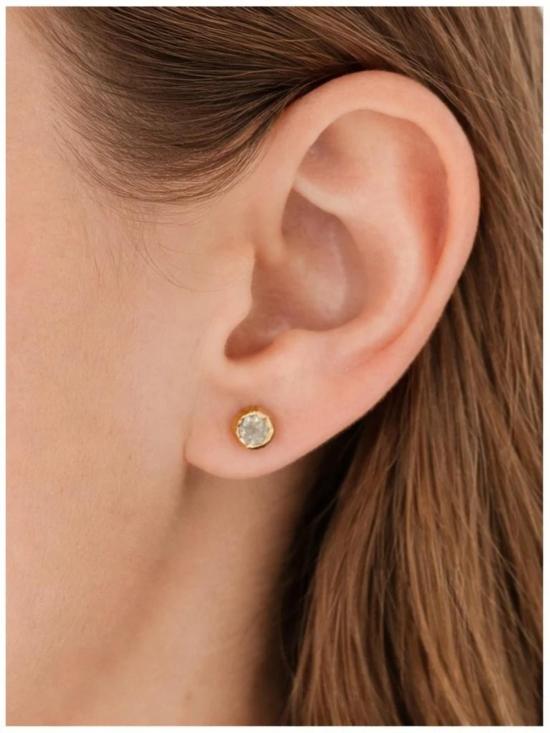  Emilie Shapiro Jewelry 이어링 에밀리 샤피로 주얼리 노스 스타 스터드 귀걸이 - OTHER BRANDS