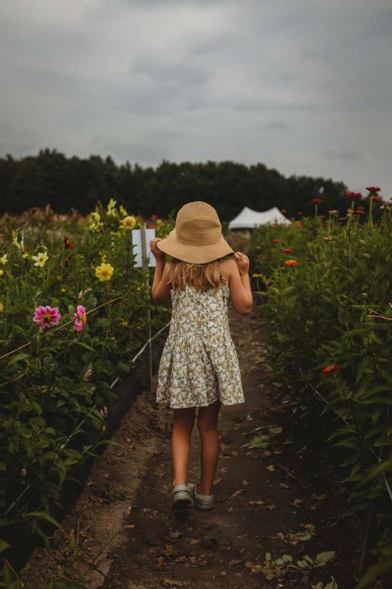  [키즈] Piper&Cloth 원피스 파이퍼앤클로스 키즈 히카리 핀턱 드레스 머스타드 세이지 블로섬 - OTHER BRANDS