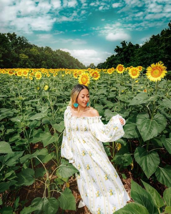  니카 탕 롱 원피스 로렌 드레스 옐로우 로즈