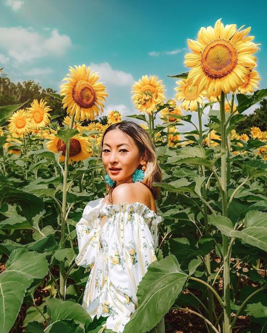  니카 탕 롱 원피스 로렌 드레스 옐로우 로즈 - NIKA TANG