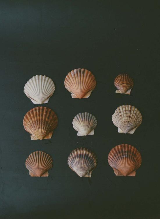  오디세이아 목걸이/팬던트 Odissea Ny 배럴 가죽 매듭 코드 - ODISSEA