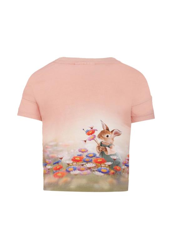  [키즈] 몰로 트레이닝 상의 어린이용  고양이 티셔츠 핑크색 - MOLO