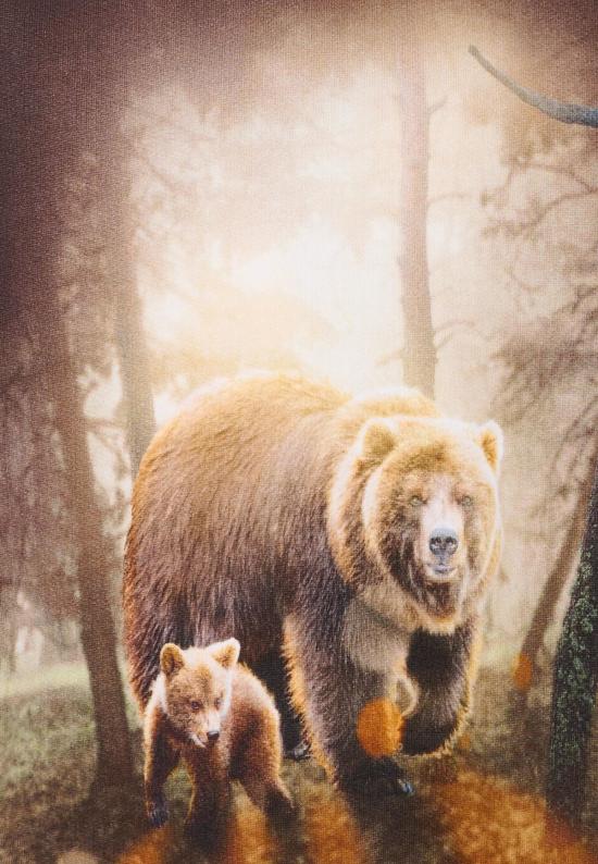  [키즈] 몰로 풀오버 브라운 스웨트셔츠 (곰 브라운 무늬) - MOLO