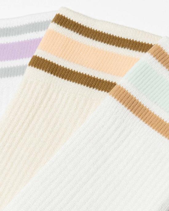  Oncept 양말 온셉트 스트라이프 크루삭스 (3팩) 데저트 멀티 - OTHER BRANDS