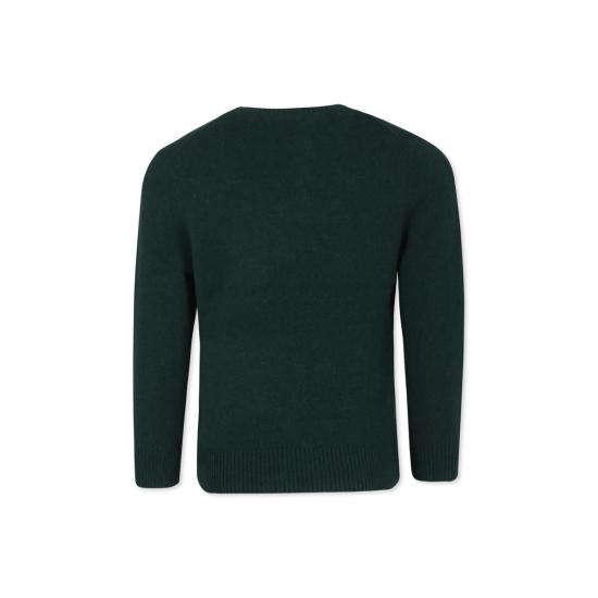  [키즈] 랄프 로렌 풀오버 마글리오네 아동용 스웨터 그린 - RALPH LAUREN