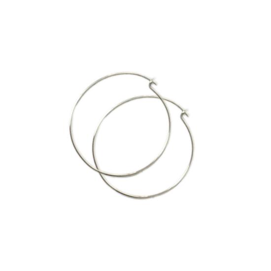  타린 토마스 이어링 제이니 후프스