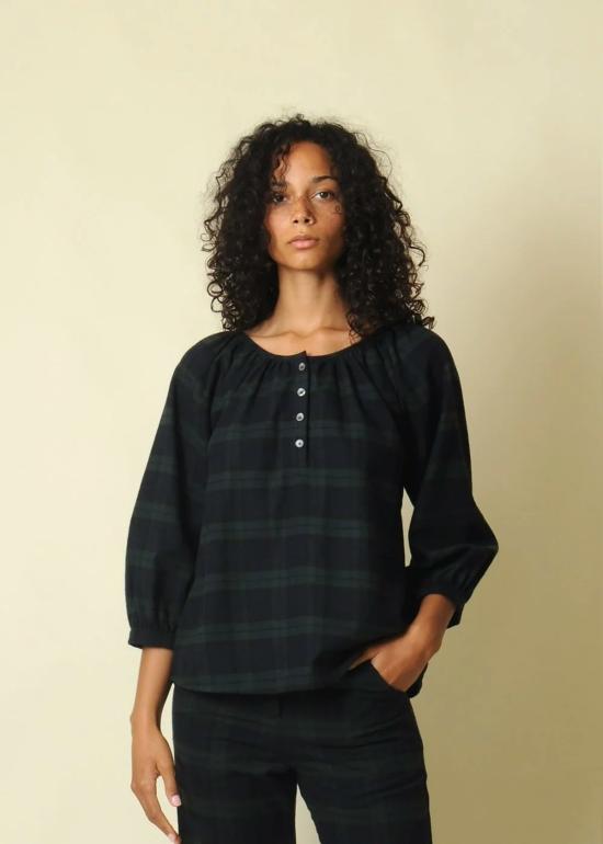  코니퍼 블라우스 침엽수림 꼭대기