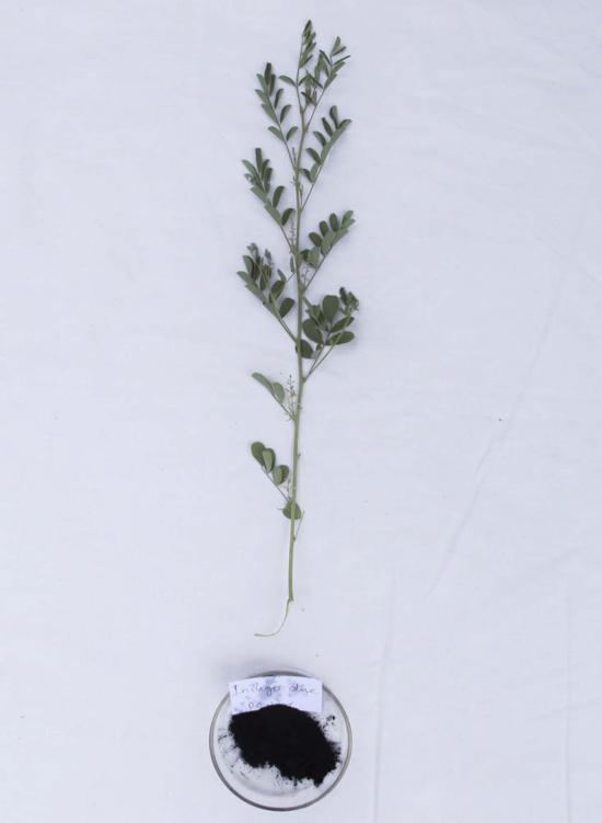  Seek Collective 셔츠 페이지 셔츠 라이트 인디고 스토리 - SEEK COLLECTIVE