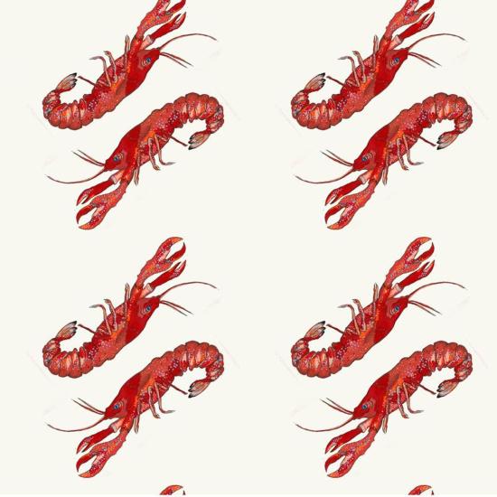  [키즈] Vild House of Little 트레이닝 상의 키즈 와일드 하우스 오브 리틀 오가닉 코튼 티셔츠 랍스터 - OTHER BRANDS