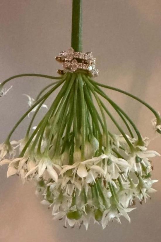  Charme Silkiner 이어링 샤르메 실키너 이바 다이아몬드 귀걸이