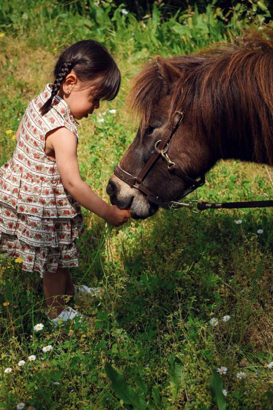  [키즈] Piper&Cloth 원피스 키즈 파이퍼앤클로스 앙투아네트 드레스 - OTHER BRANDS