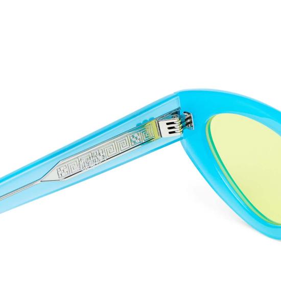  바다 안경 메기  열병 - VADA