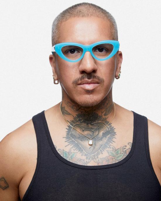  바다 안경 메기  열병 - VADA