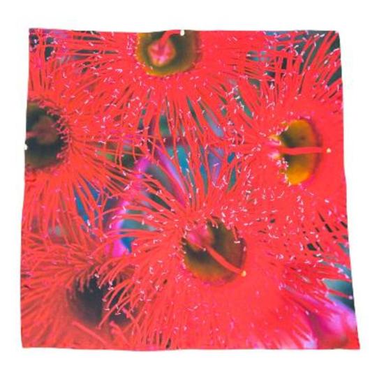  린제이 니콜라스 뉴욕 머플러/스카프 린지 니콜라스 뉴욕 멜버른 스칼렛 버스트 실크 스카프 - LINDSAY NICHOLAS NEW YORK