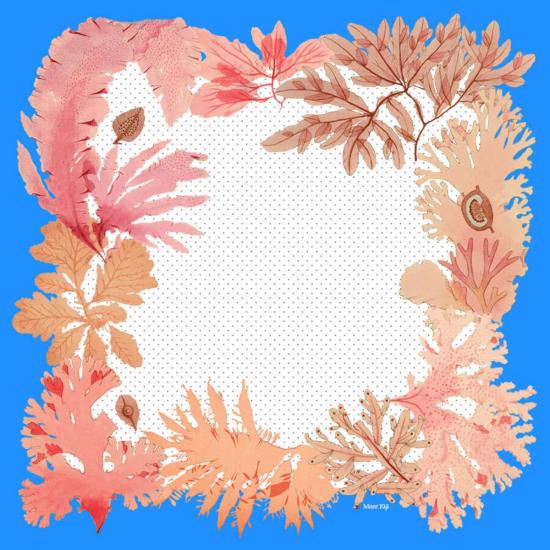  Mont Kiji 머플러/스카프 몬트 키지 러쉬 알개 스카프 - OTHER BRANDS