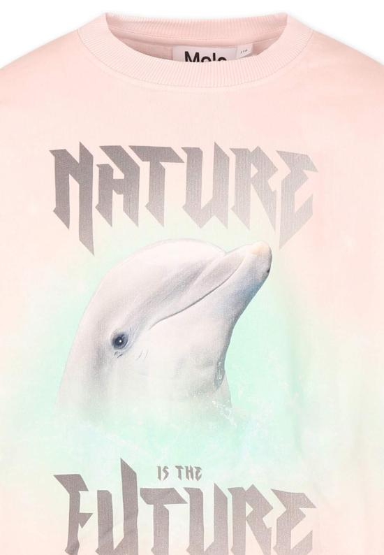  [키즈] 몰로 풀오버 돌고래 프린트 스웨트셔츠 핑크 - MOLO