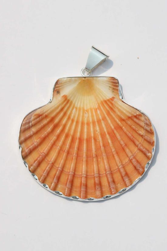  오디세이아 목걸이/팬던트 오디세아 NY XL 쉘 펜던트 - ODISSEA