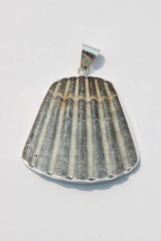  오디세이아 목걸이/팬던트 오디세아 NY XL 쉘 펜던트 - ODISSEA