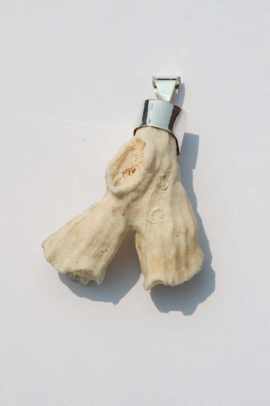  오디세이아 목걸이/팬던트 오디세아 NY XL 쉘 펜던트