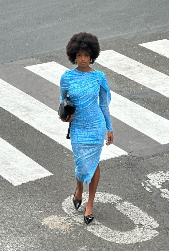  SAEMDI 롱 원피스 사엠디 파충류 프린트 케이프 드레스 - SAEMDI