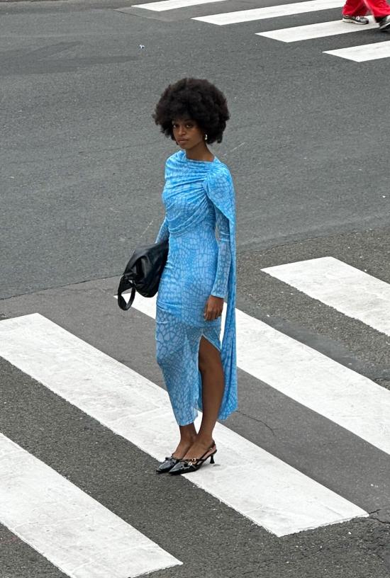  SAEMDI 롱 원피스 사엠디 파충류 프린트 케이프 드레스 - SAEMDI