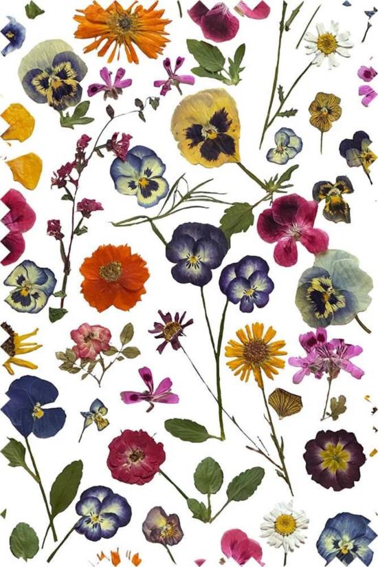  Rachel Antonoff 점프수트 레이첼 안토노프 H.W. 오버롤 - OTHER BRANDS