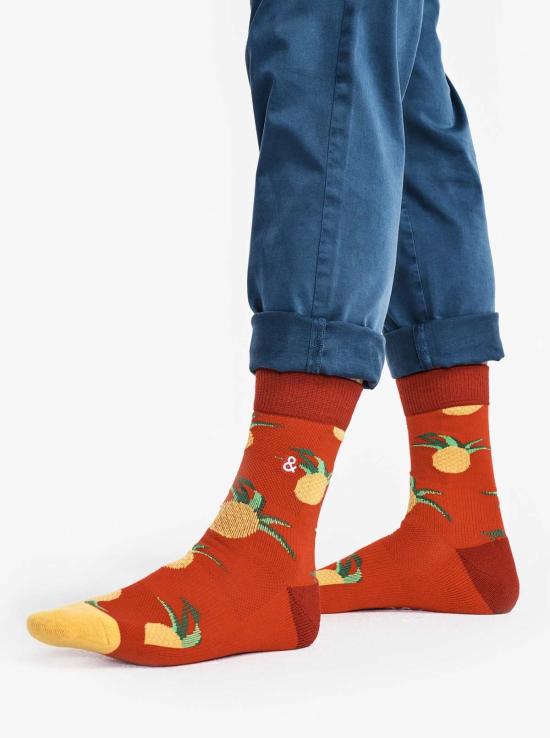  Hedley & Bennet 양말 헤들리 & 베넷 더 삭스, 제대로 된 멋쟁이가 되어봐