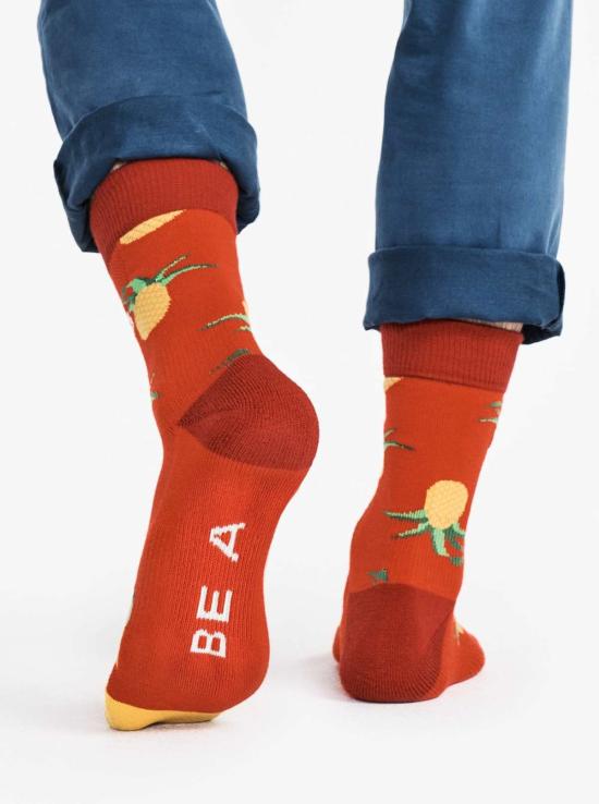  Hedley & Bennet 양말 헤들리 & 베넷 더 삭스, 제대로 된 멋쟁이가 되어봐 - OTHER BRANDS