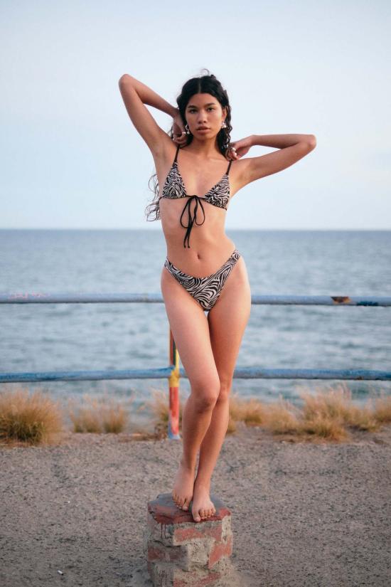  갈라마르 비키니 수영복 커브 브리프 제브레 - GALAMAAR