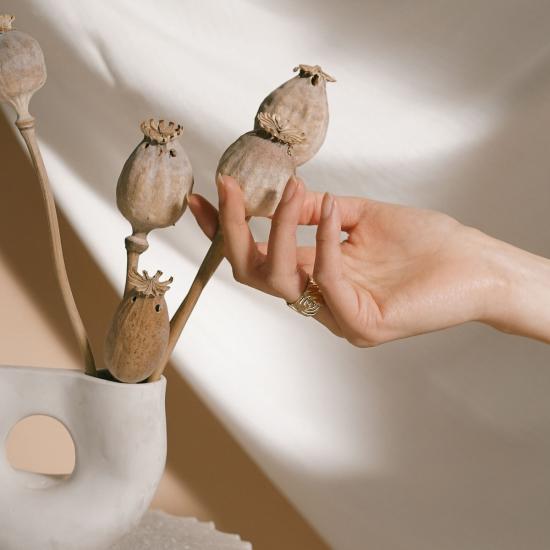  린지 루이스 주얼리 반지 클로이 링 골드 - LINDSAY LEWIS JEWELRY