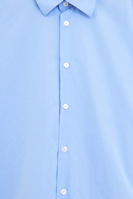  선플라워 긴팔 셔츠 해바라기 데이 셔츠 셔츠 파란색 - SUNFLOWER