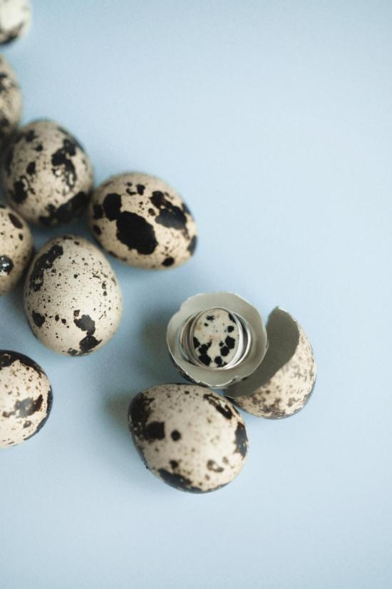  Odissea NY 반지 오디세아 펄무테 링 - OTHER BRANDS