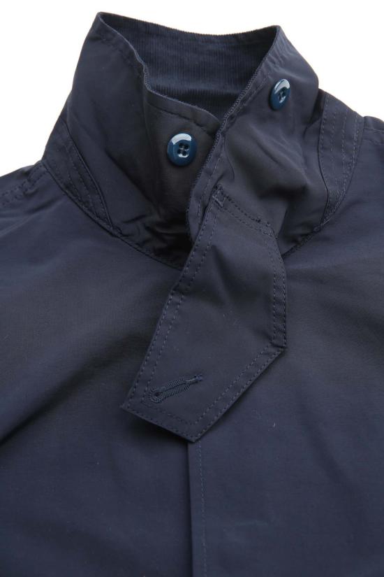  사사프라스 코트 재배용 - SASSAFRAS