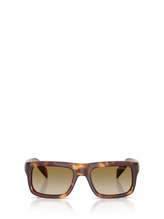26FW 프라다 선글라스 PR D11S 15W20U CLASSIC TORTOISE