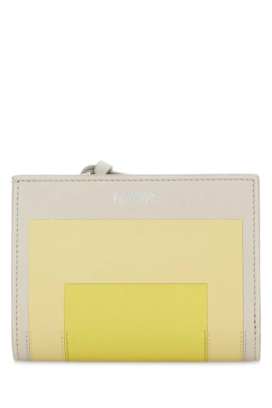 25FW 로에베 지갑 C643NCWX10 PALGRELIGCIT Multicoloured