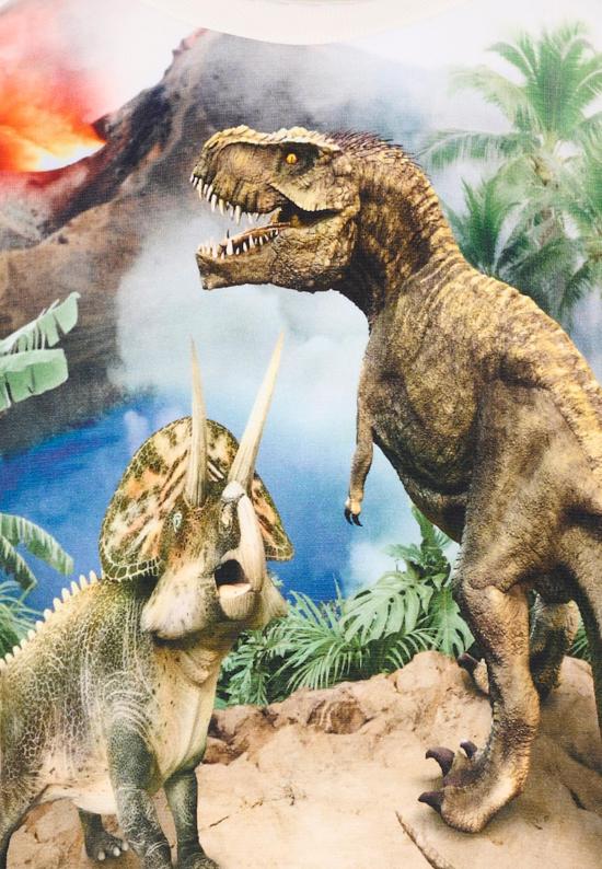 26SS [키즈] 몰로 트레이닝 상의 1S26J205 9900 MULTICOLOR - MOLO